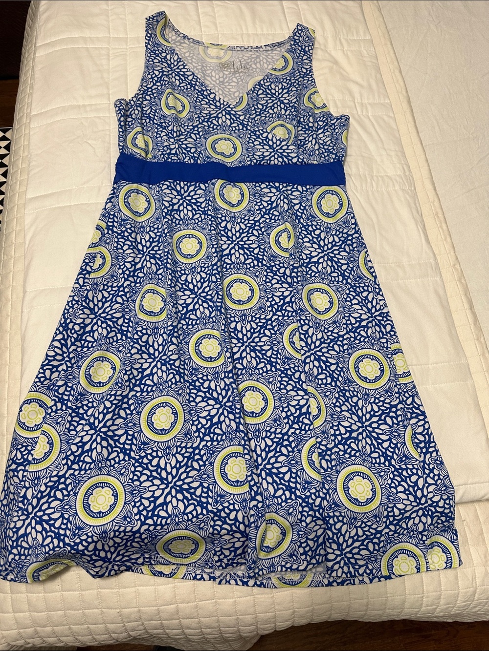 Sleeveless Blue Printed V-Neck A-Line Dress